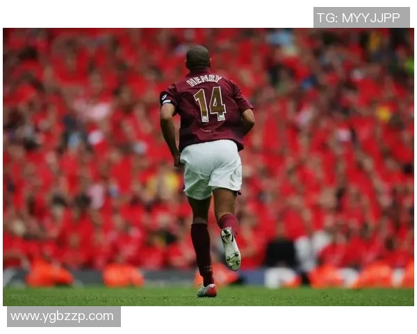 足球传奇亨利的血统与风采揭秘及其经典瞬间回顾